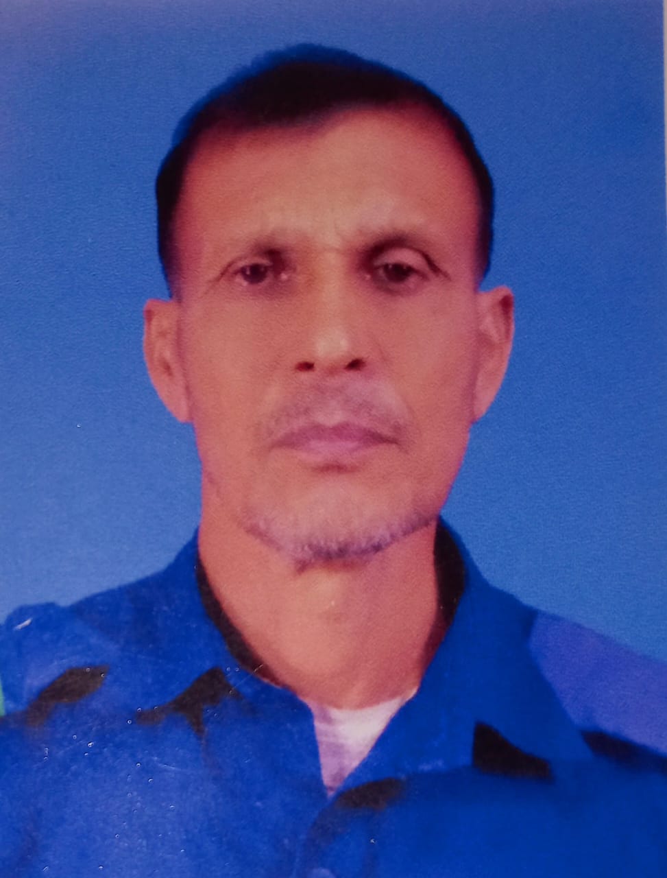 প্রবীর কুমার মল্লিক